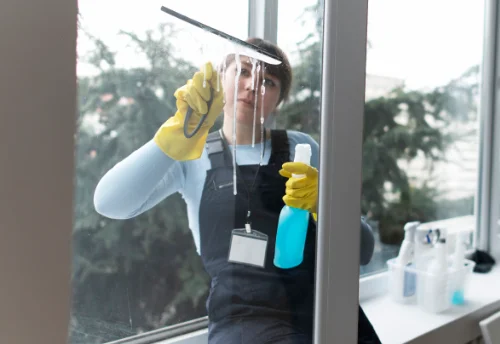 Nettoyage de vitres intérieures et extérieures à Mesnil-Panneville